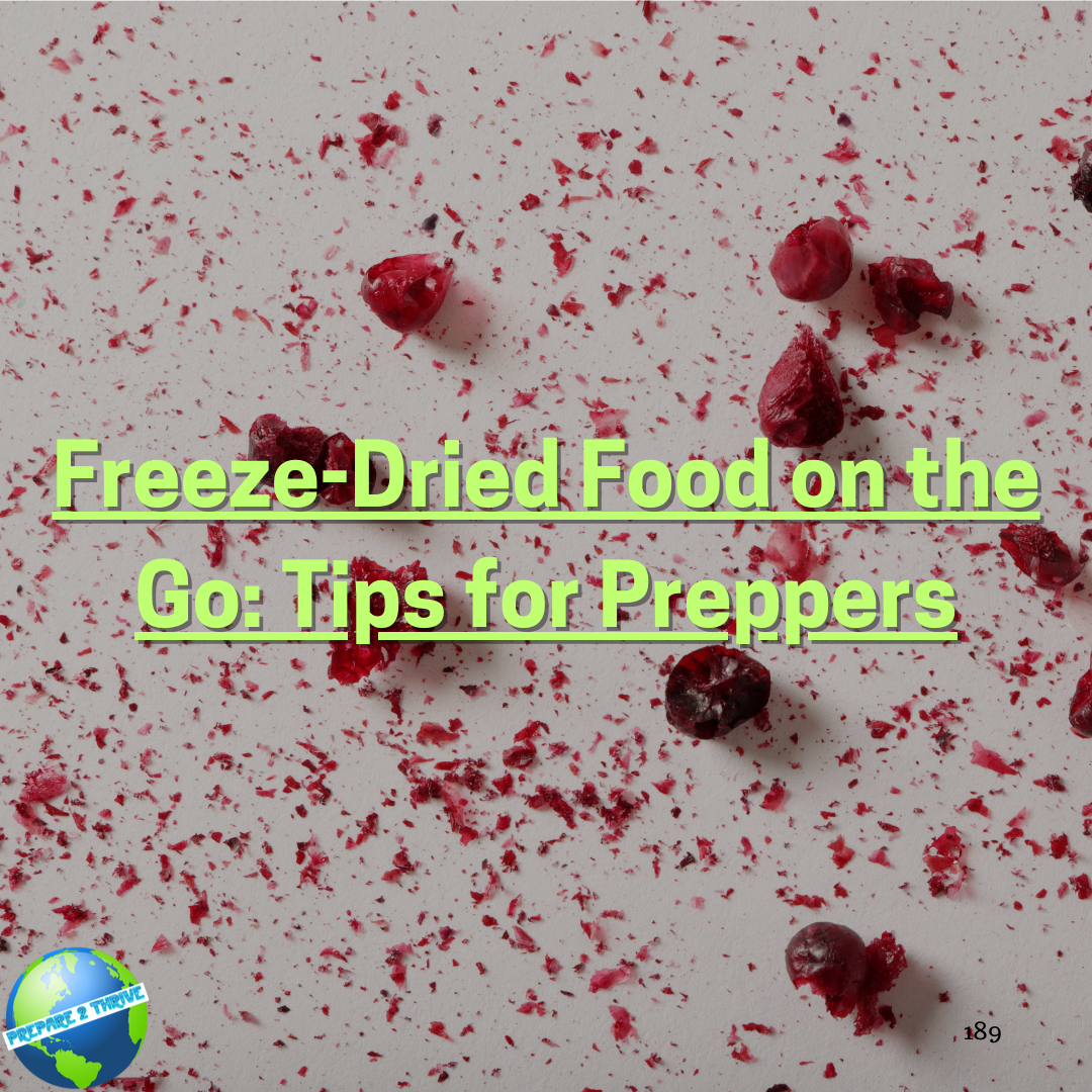 Freeze-Dried Food on the Go: Tips for Preppers